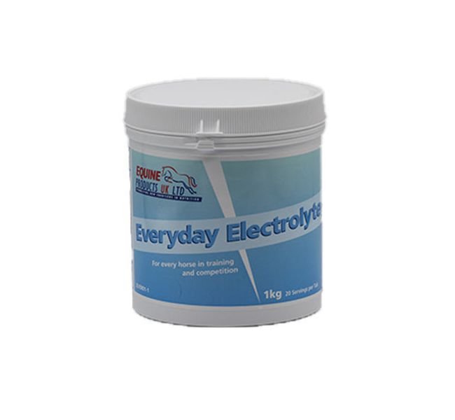 EVERYDAY ELECTROLYTE 1KG
