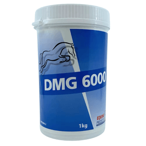 Hovedbilde DMG 6000 - Dimetylglycin